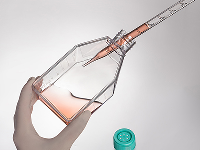 斜頸設(shè)計(jì)，易于傾倒，方便移 液管和細(xì)胞刮刀的進(jìn)出