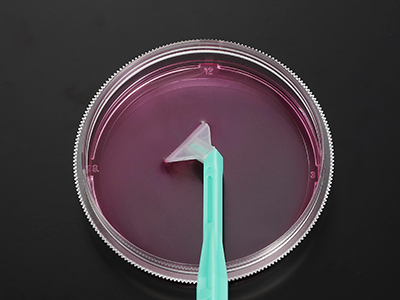 可自由旋轉刀片，能刮取各個角落，收獲細胞