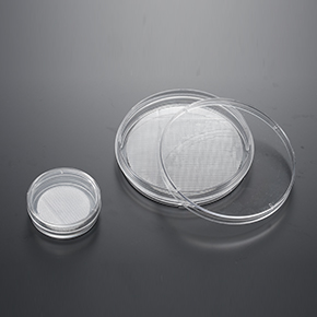 CellSCAFLD?3D細胞培養(yǎng)支架,球狀體和3D細胞培養(yǎng)