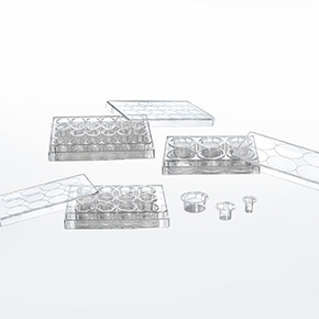 細胞嵌入皿,細胞小室,transwell,細胞遷移