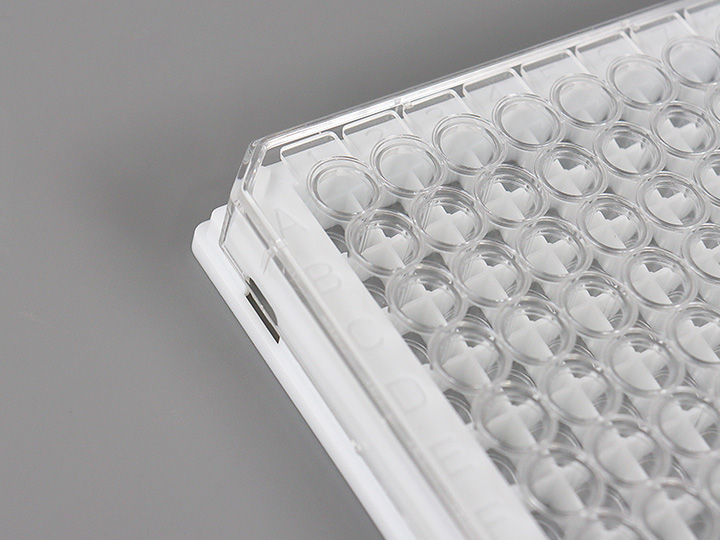 內頁720×540 拷貝.jpg