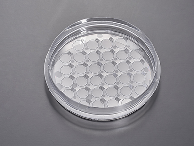 單次細胞培養可制備多種不同實驗和檢測目的的細胞爬片，提高工作效率