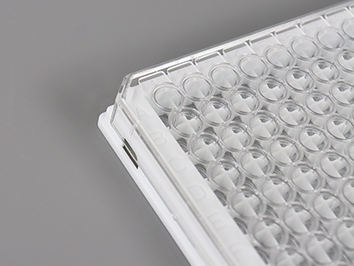 清晰的字母數字標號，便于不同孔內樣本辨別