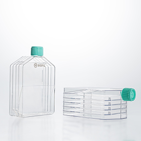 多層細胞培養瓶,多層培養瓶,三層培養瓶,五層培養瓶