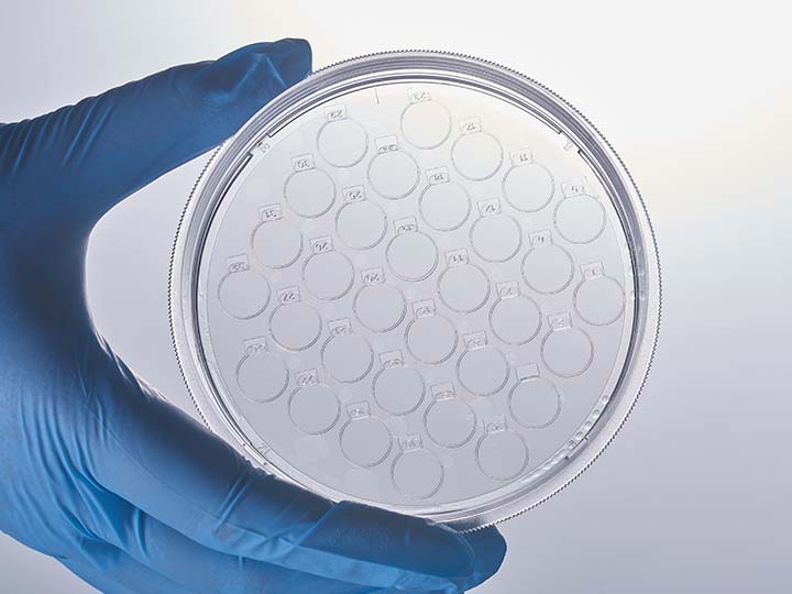 內頁720×540 拷貝1.jpg