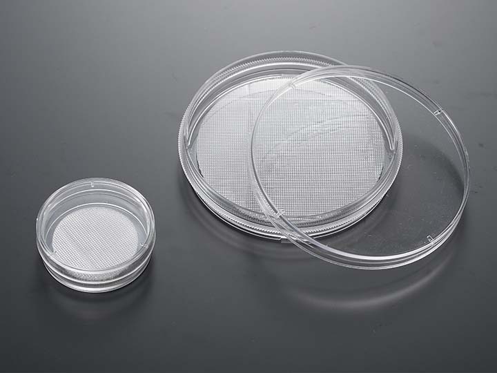 內頁720×540 拷貝.jpg