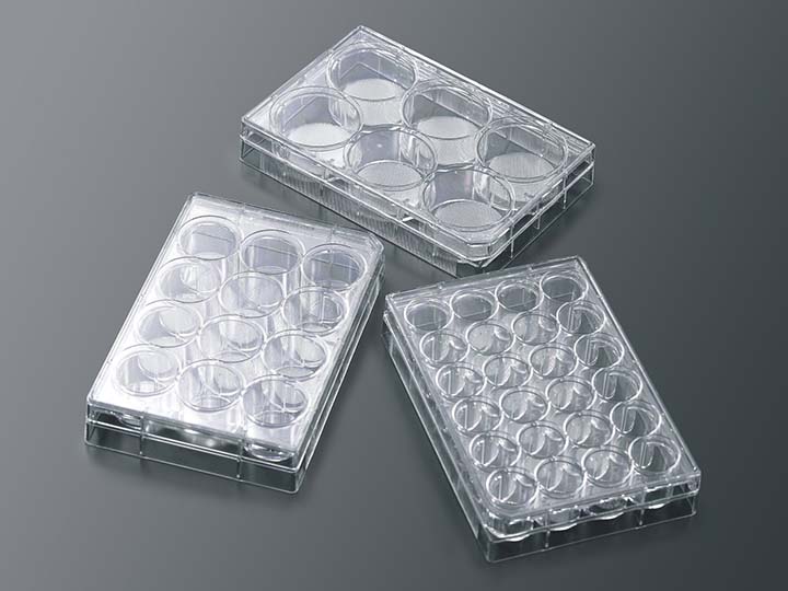 內頁720×540 拷貝1.jpg