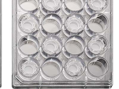 配有清晰的數(shù)字孔標(biāo)識(shí)，便于區(qū)分識(shí)別，方便記錄