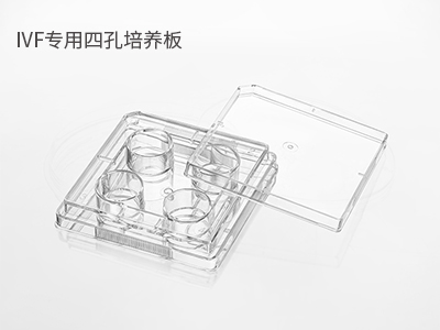 胚胎冷凍/解凍；胚胎體外培養